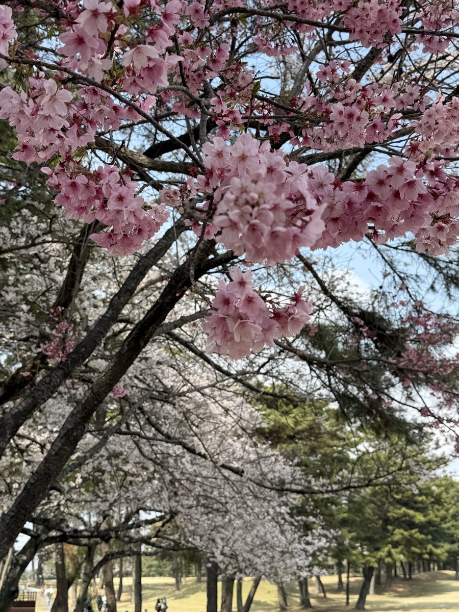 えぐち tweet media