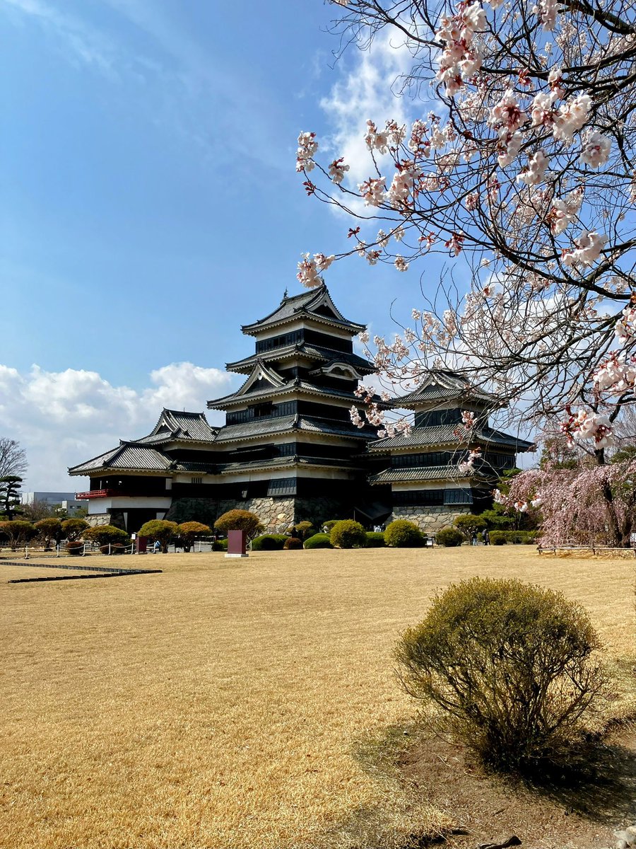 長野県松本市（公式） tweet media