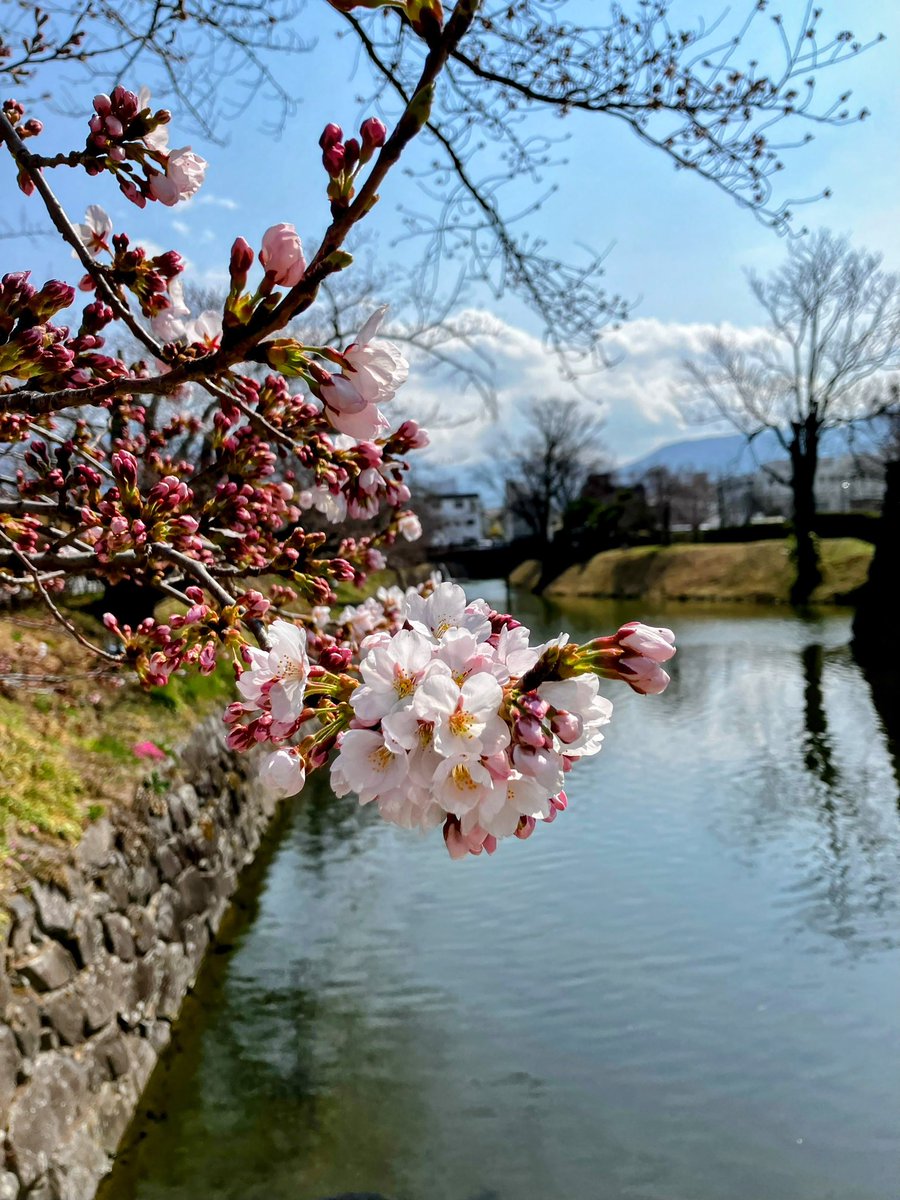 長野県松本市（公式） tweet media