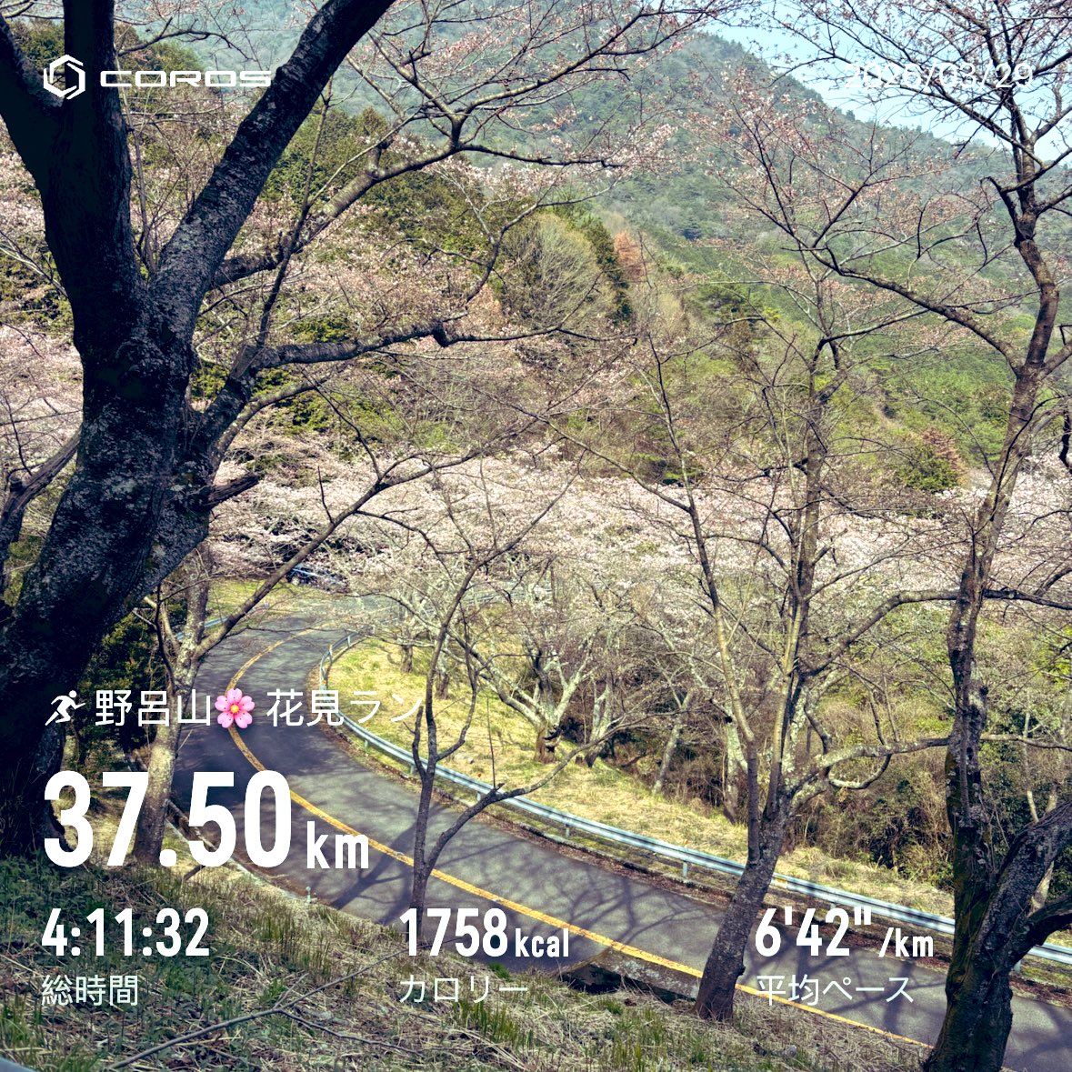 なづなこ🍻 tweet media