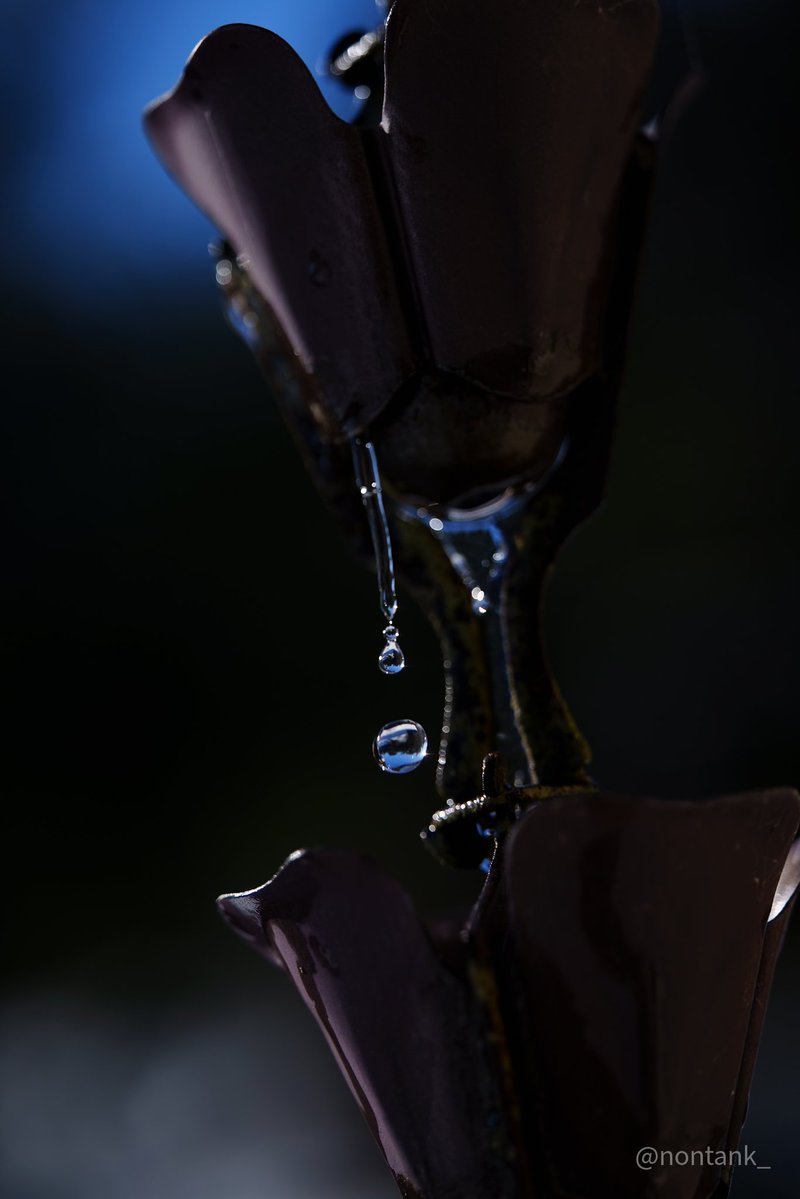 おーぎ tweet media