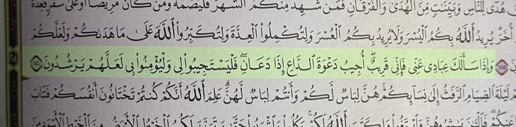 أسامة 💎 tweet media