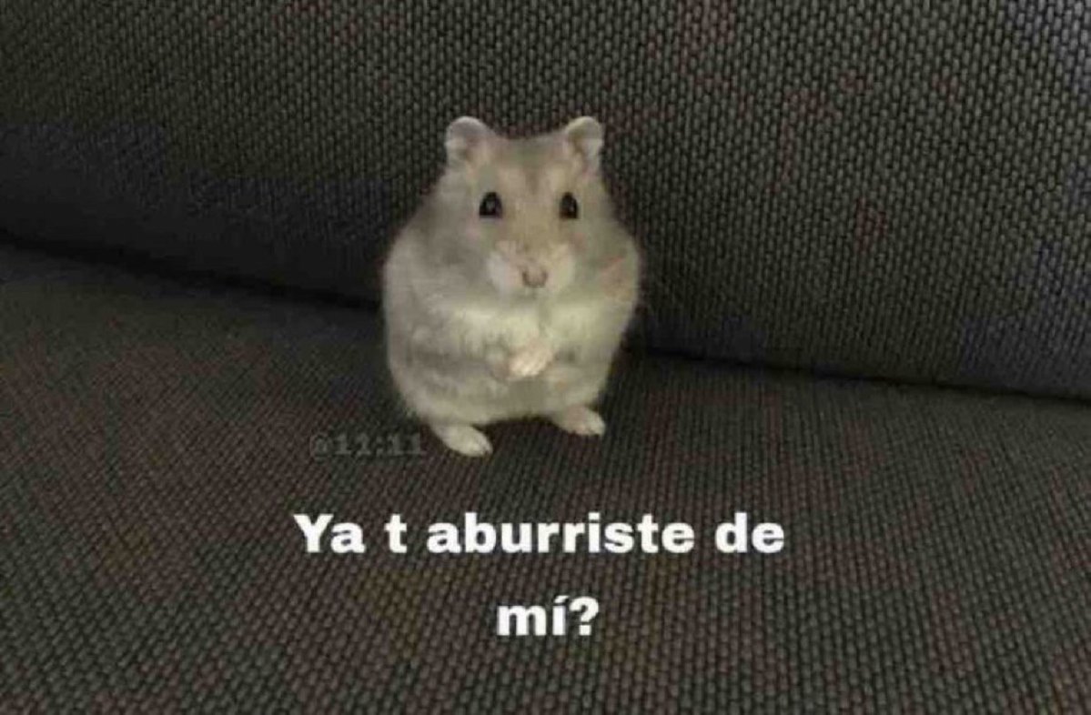 El Guarromántico tweet media