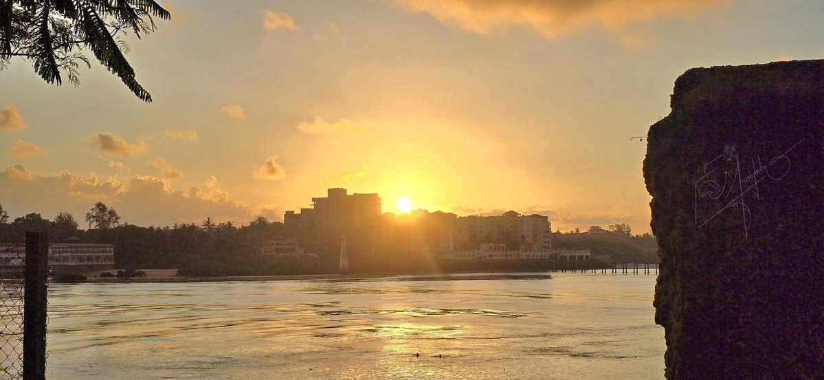 Sheikh Marghubali 🇰🇪 tweet media