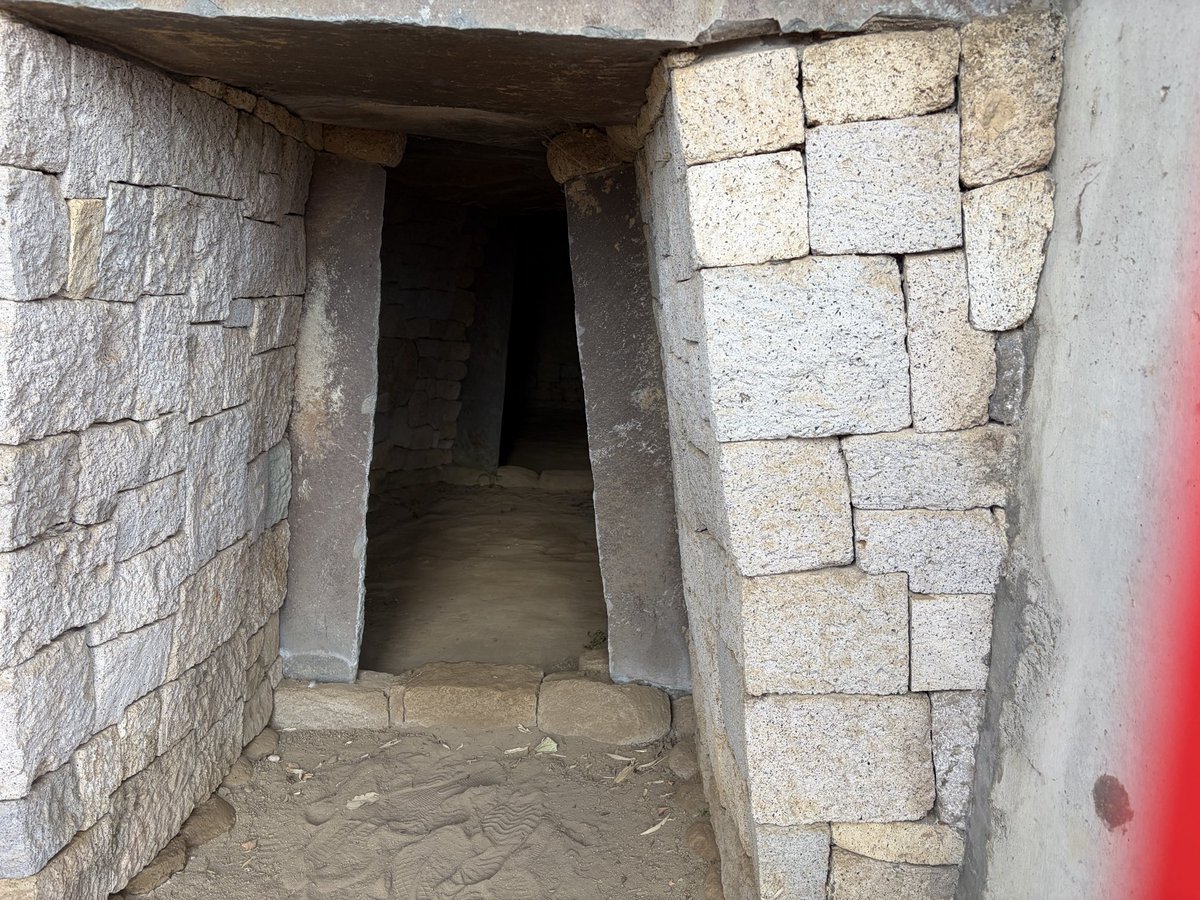 ガンビー（銃蜂） tweet media