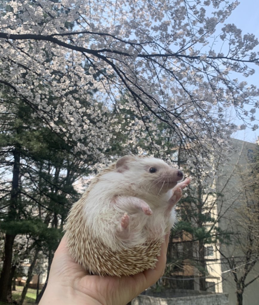 셉입니다. tweet media