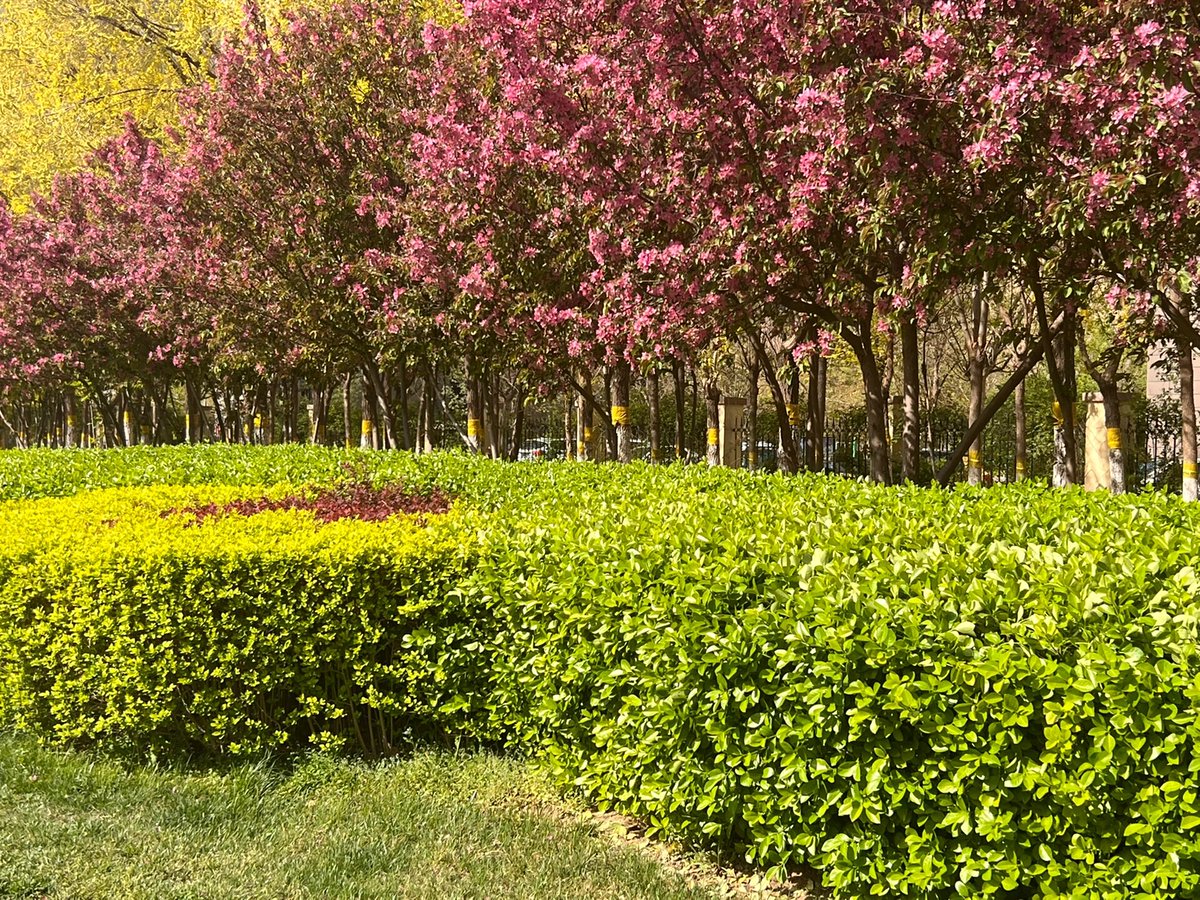 Витвицкий Кирилл tweet media