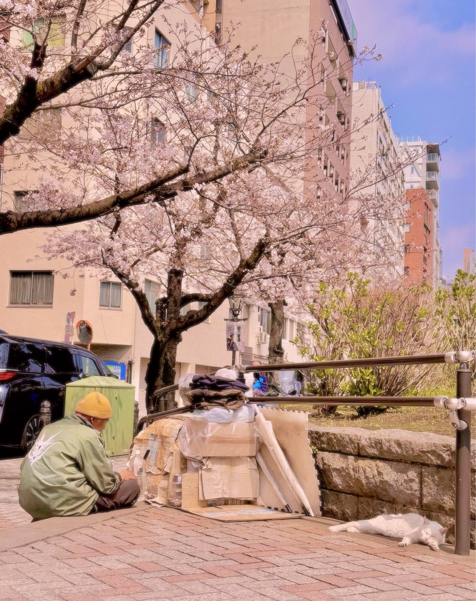 わんたろう@shanti101 tweet media