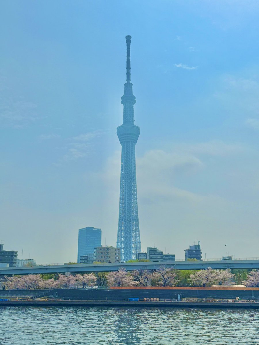 わんたろう@shanti101 tweet media