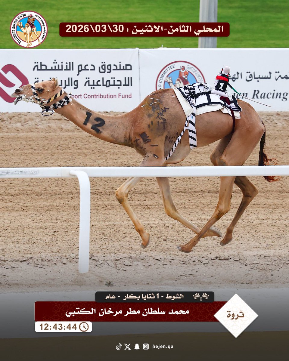 اللجنة المنظمة لسباق الهجن tweet media