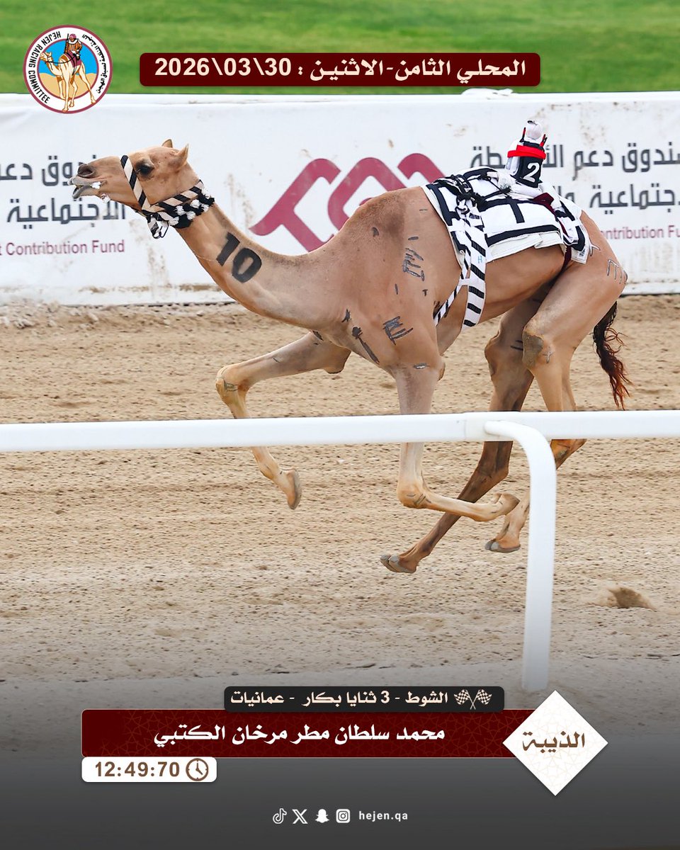 اللجنة المنظمة لسباق الهجن tweet media