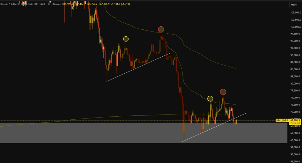 クリプトガール tweet media