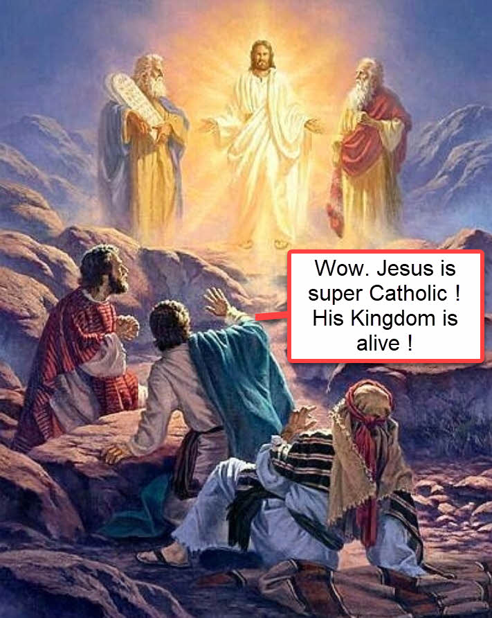 Marcado Razon (Biologist) tweet media