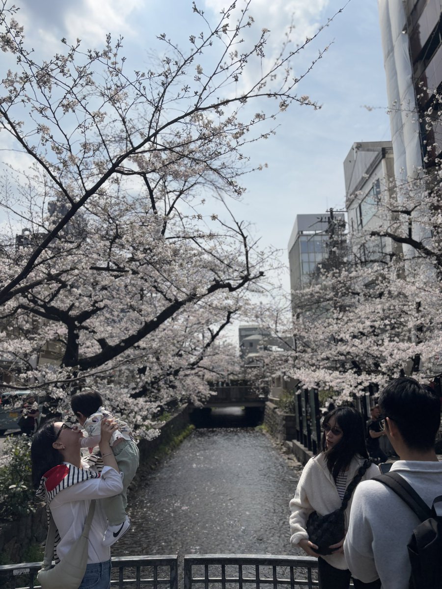 B.O.A.T. tweet media