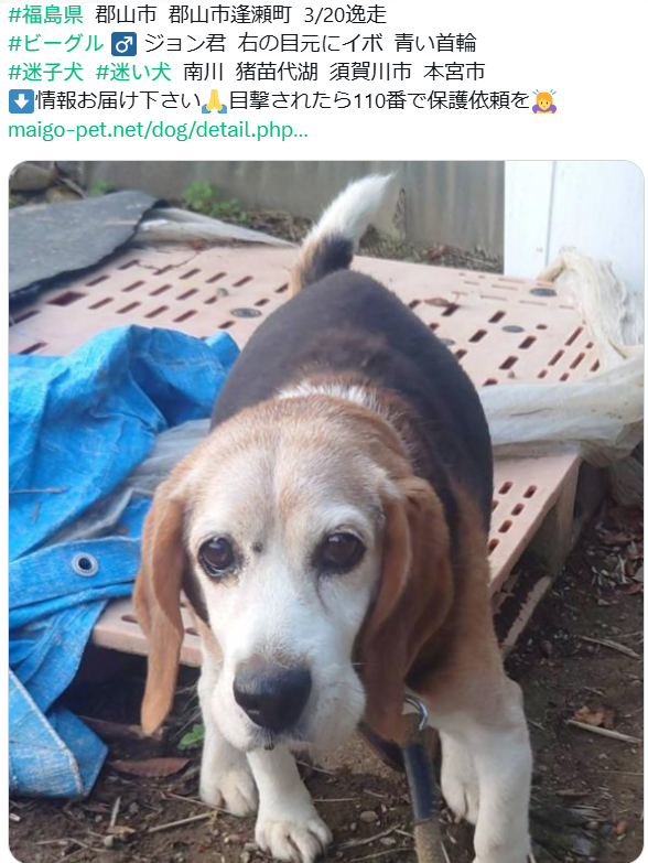 くるみmama tweet media