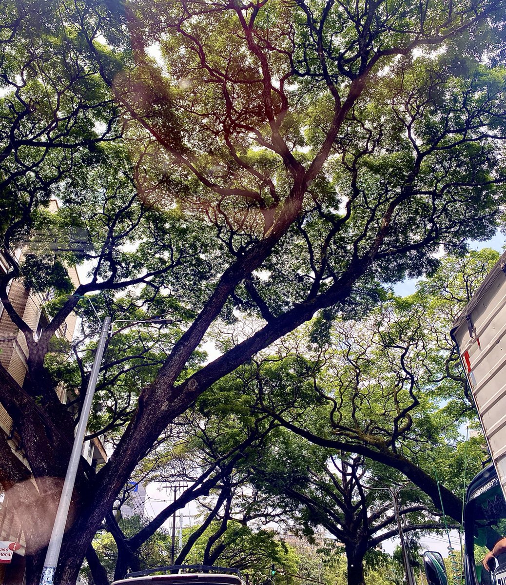 Sebastián tweet media