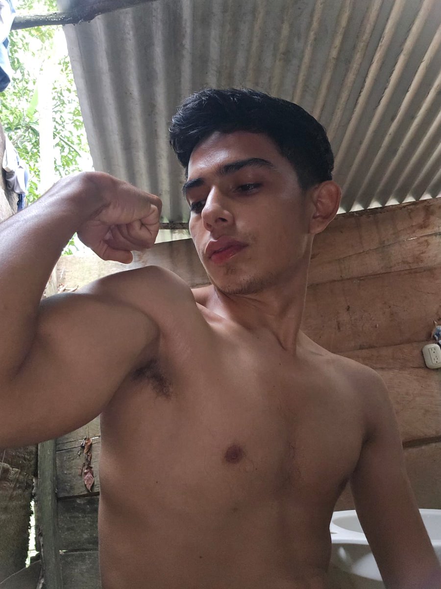 jos bebe tweet media