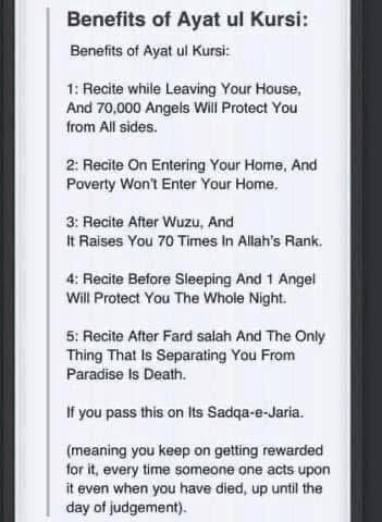 KASSEM AMINE tweet media