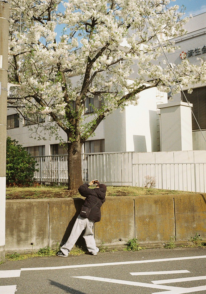 こまさん tweet media