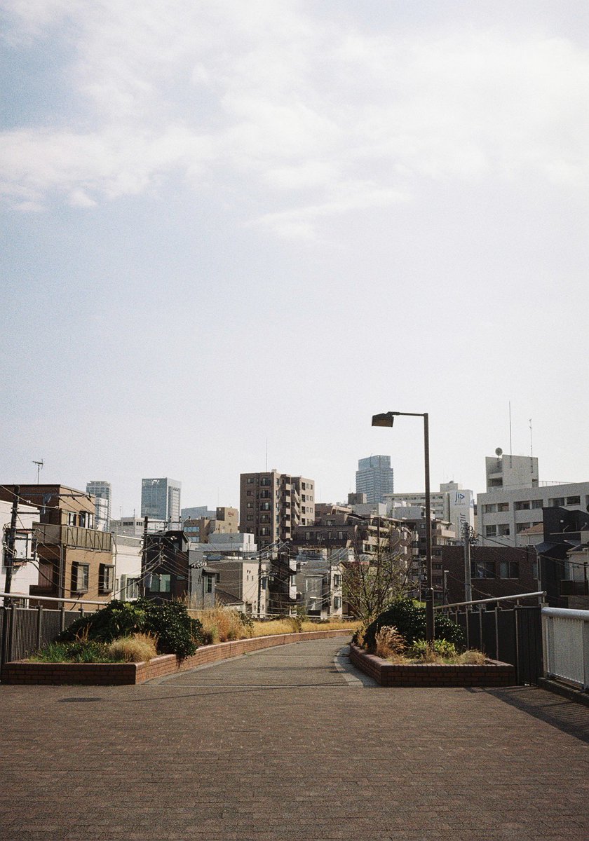 こまさん tweet media