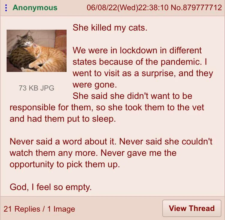 The 4Chan Archives tweet media