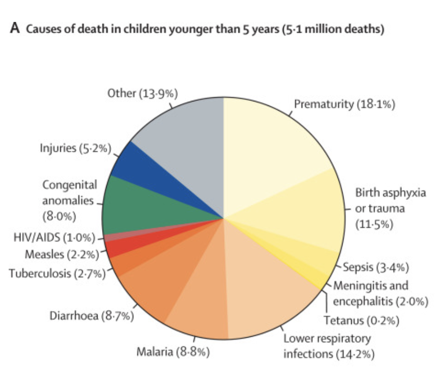Hunter📈🌈📊 tweet media