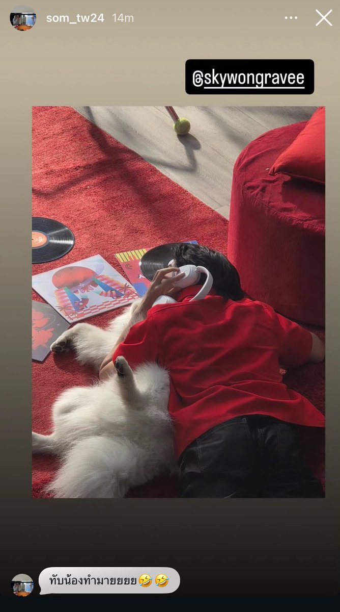 ยอร.com 🍌 tweet media