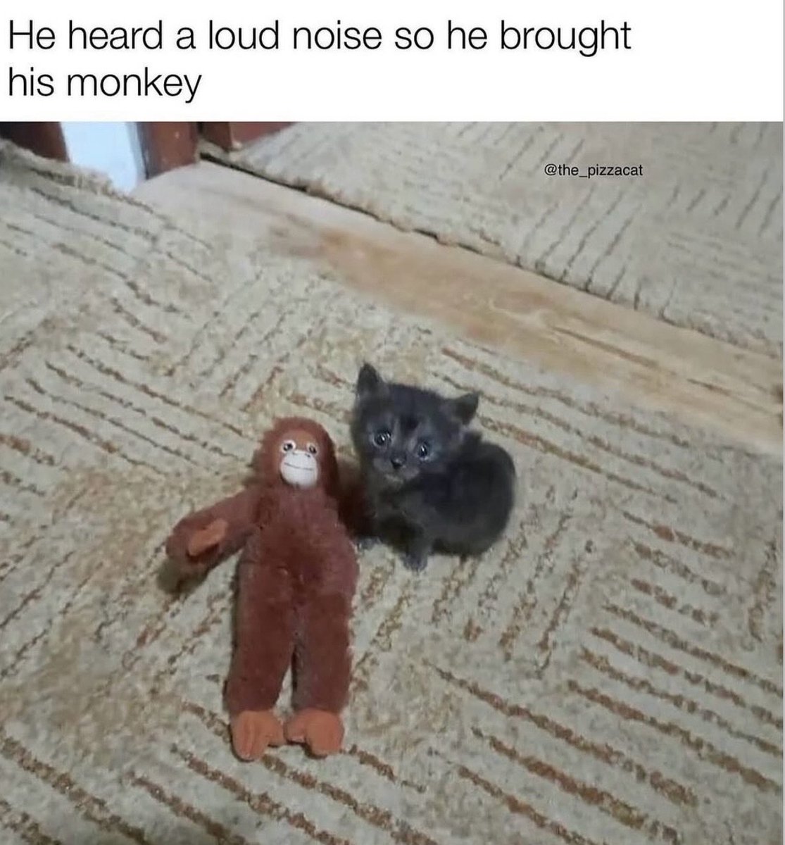 ShitpostGateway tweet media