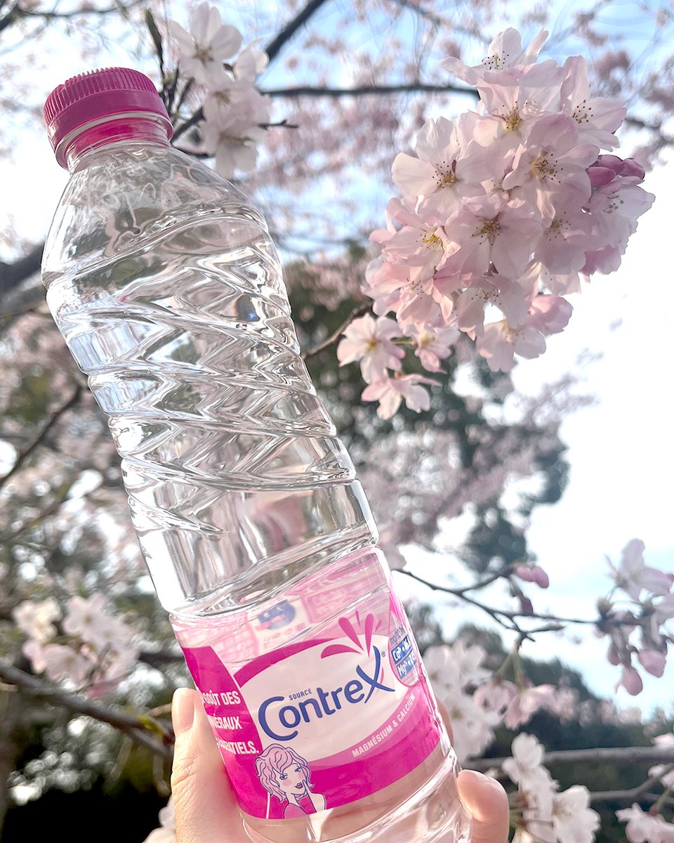 各地で見頃を迎えている桜🌸
ピンクのカラーがシグネチャーのコントレックスは桜との相性もばっちり✨

今年のお花見のお供にはぜひミネラル豊富なコントレックスでお花見にピンクの華を添えてみませんか？😊

#contrex #桜 #さくら #お花見 #コントレックス #ピンク