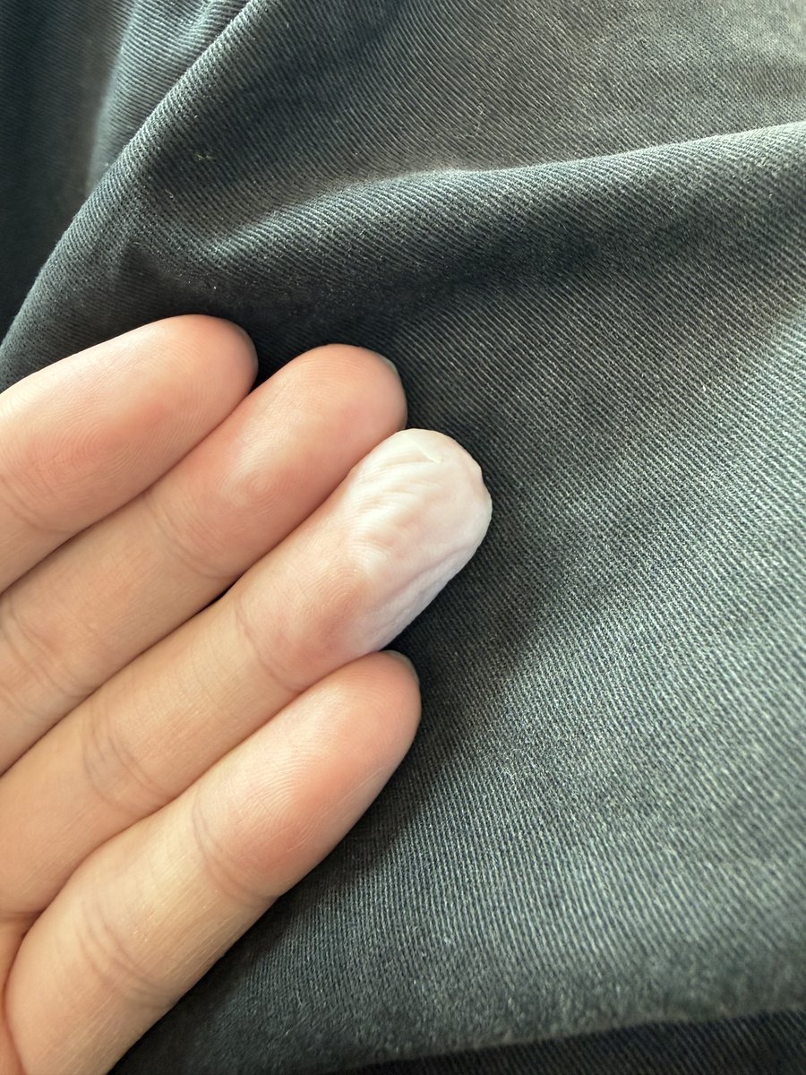 1tappy / わんたっぴー tweet media