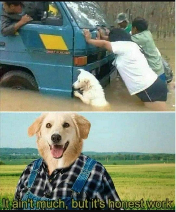 Rudi Cilibrasi tweet media