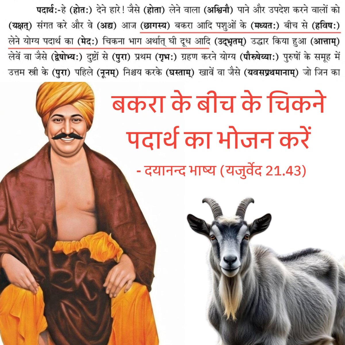 GemsofHondas tweet media