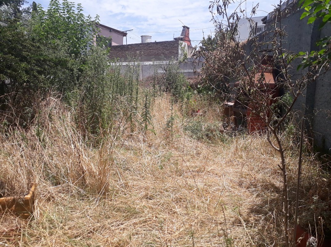 🌈vг๏тεЪεг∂ε5 tweet media