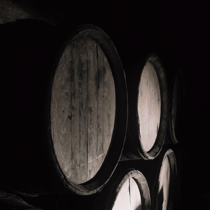 𝐌𝐫.𝘽𝙖𝙧𝙞𝙨𝙩𝙖 ✘ tweet media