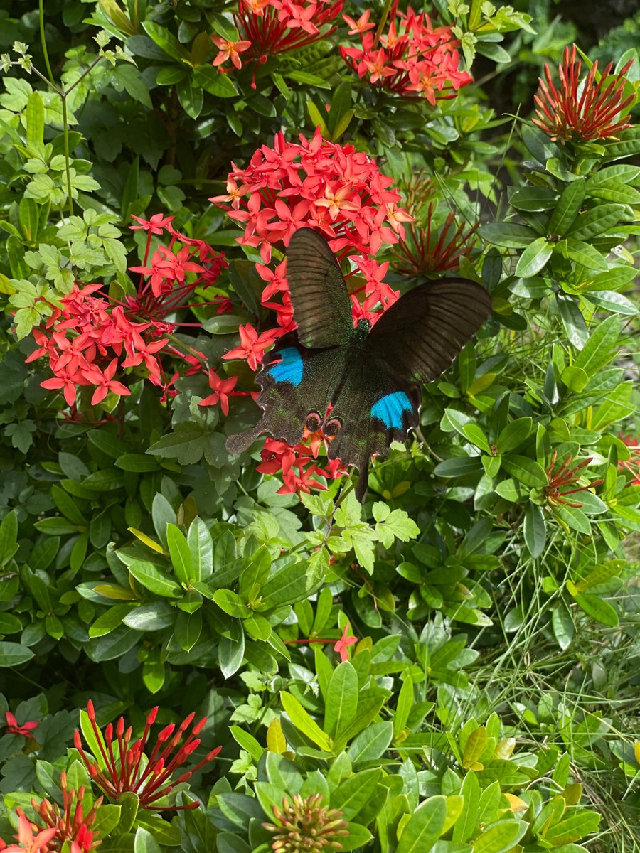 エマ🌼 tweet media