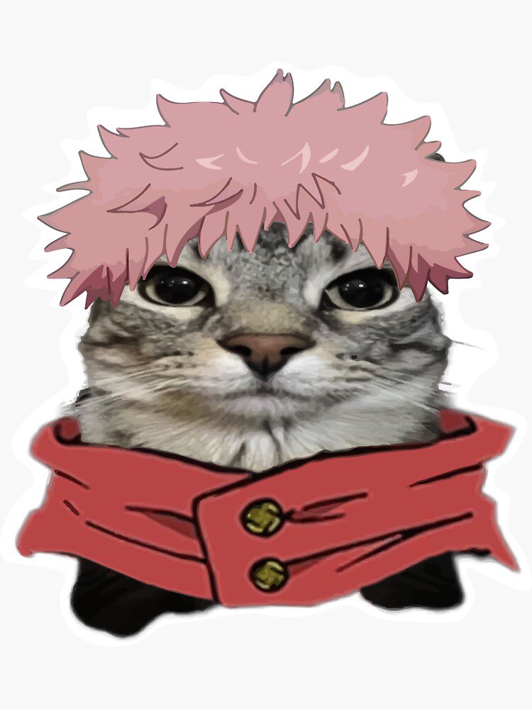 M Ā O R I lite tweet media