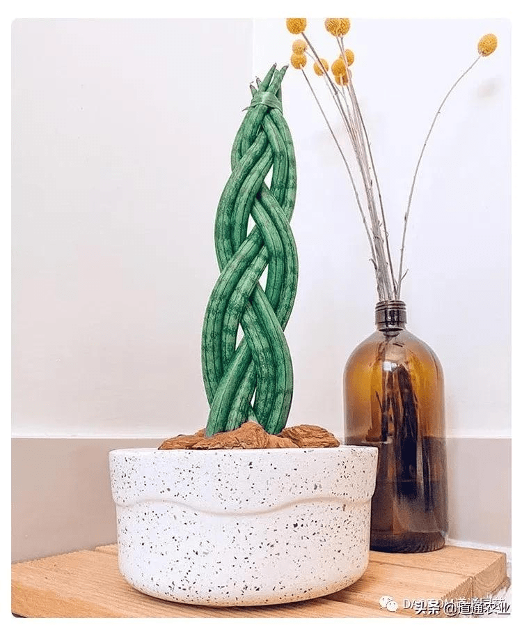 Princess Jas 💍🤞🏾 tweet media