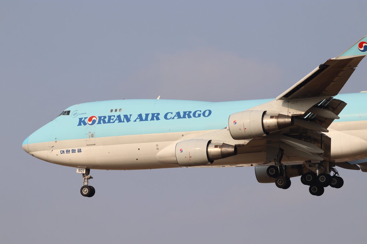 飛行機が趣味な人(羽田・成田ベース)✈ tweet media