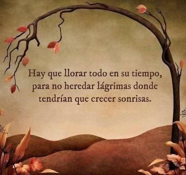 Teresita Barredo Roman tweet media