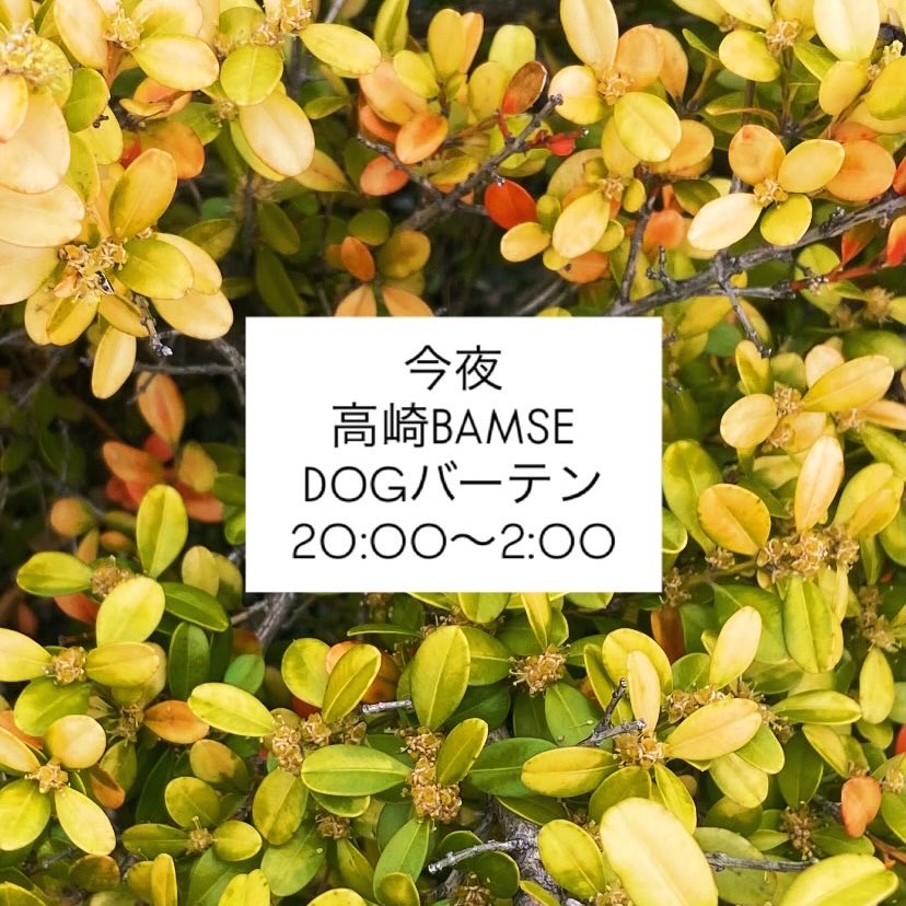 犬塚"DOG"悠太 tweet media