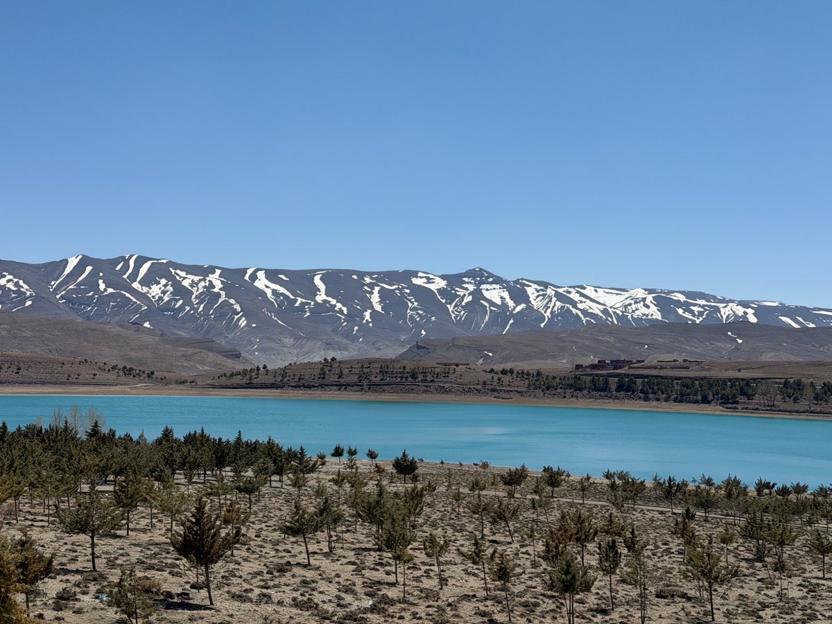 Marta G.Serranillos 🇪🇸🇦🇩 tweet media