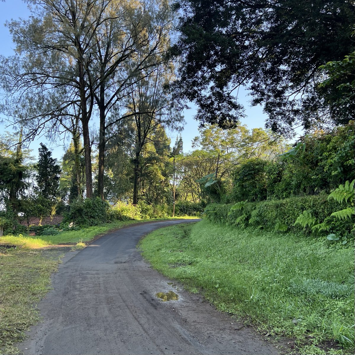 むーも tweet media