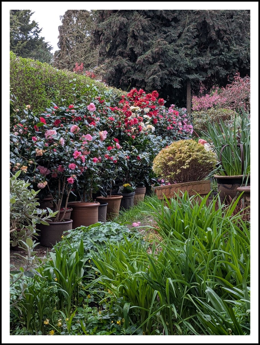 new apostles tweet media