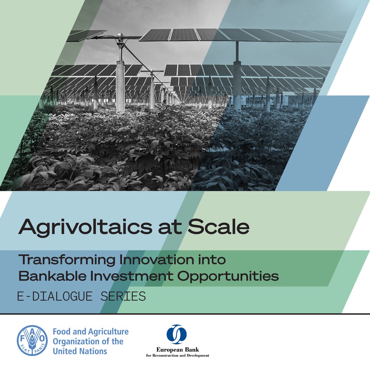 How can on-farm renewable energy transform farming from an energy consumer to an energy producer? Join our <a href="/EBRD/">The EBRD</a>-<a href="/FAOInvest/">FAO Investment Support</a> forward-looking discussion on agrivoltaics to find out!   

🗓️ 31 March 2026   
🕔14:00–15:00 CET
📝 fao.zoom.us/meeting/regist…