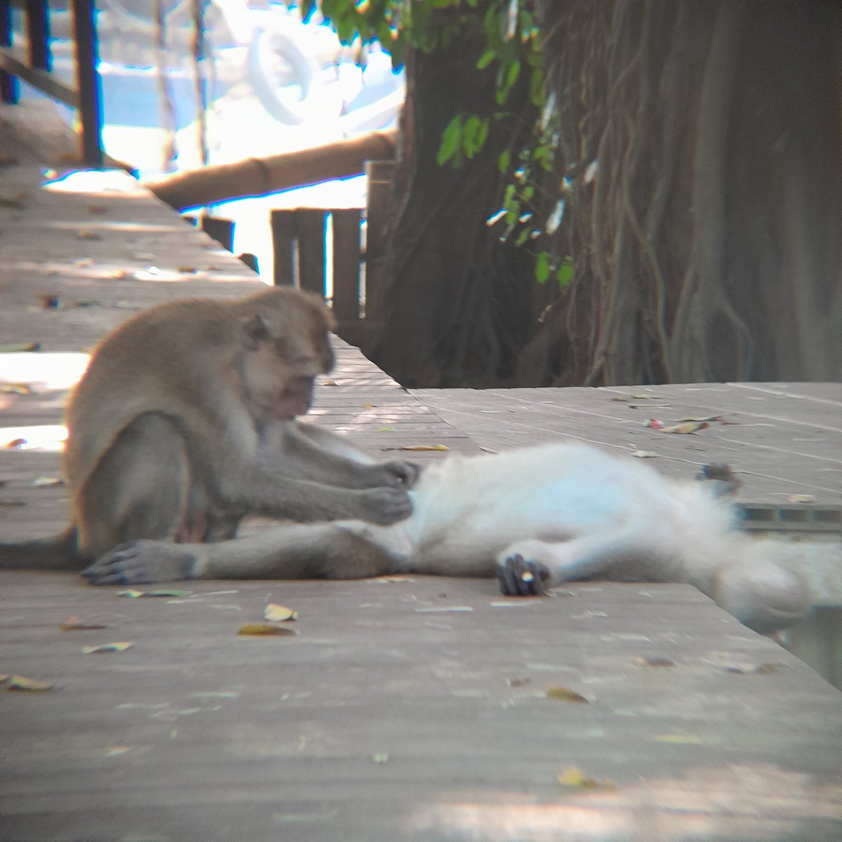 duawibutiga's tweet image. scrolling thru my cam roll in order to joining the user x off twt trends but look what i found😭 #WildAssCamRoll (ini pas gw lg riset🤲) (this is my #sample🙏)