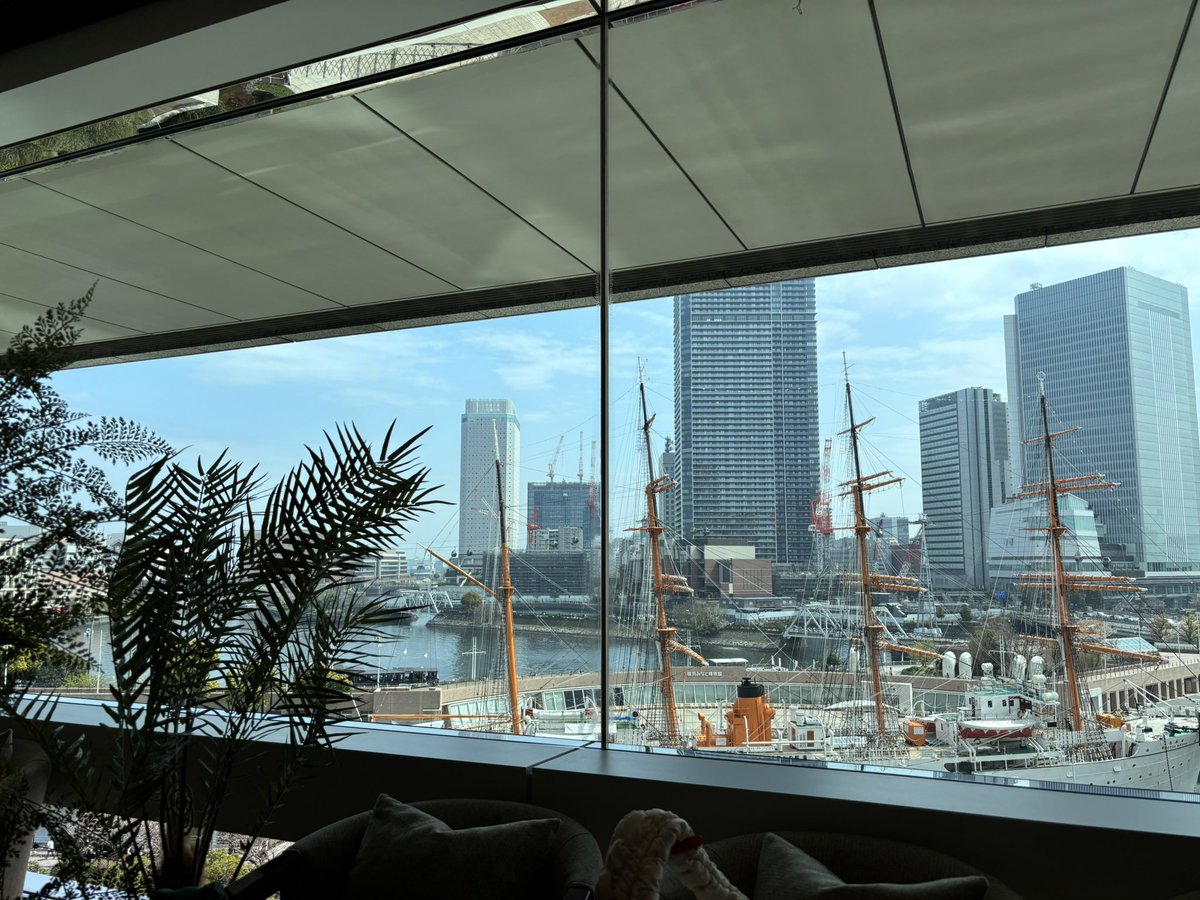 narumi54 tweet media