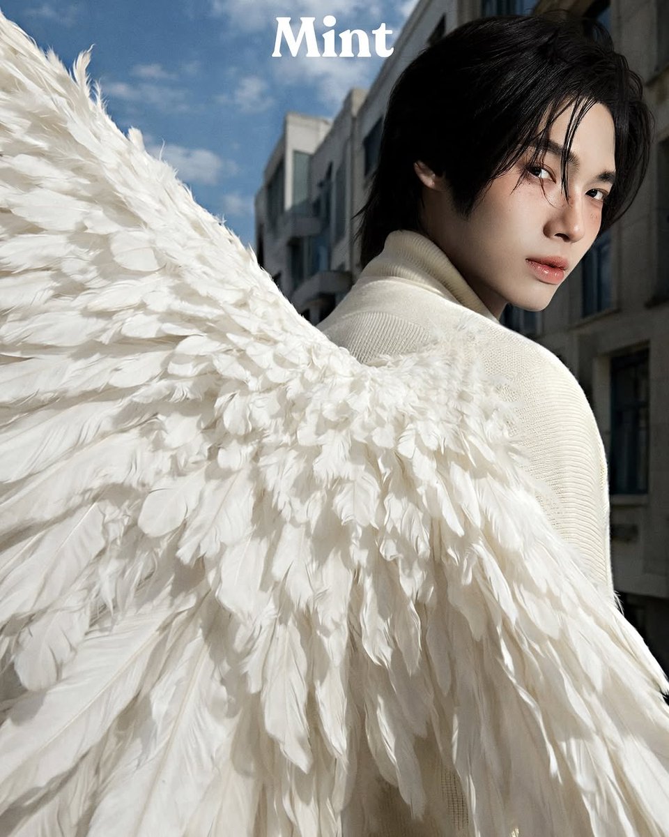 Winmetawin.Official tweet media