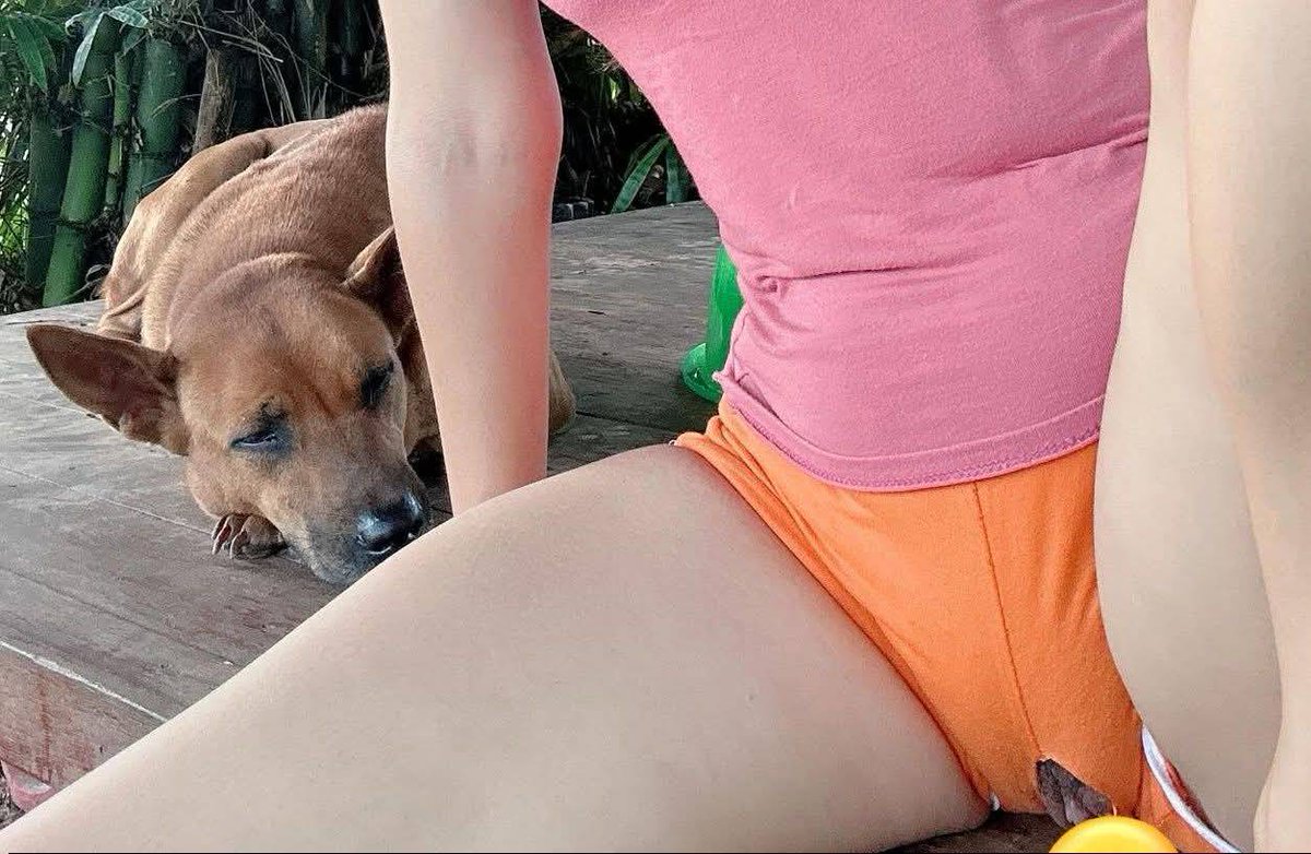 ไม่มีที่นอนหรือไงเจ้าหมาน้อย