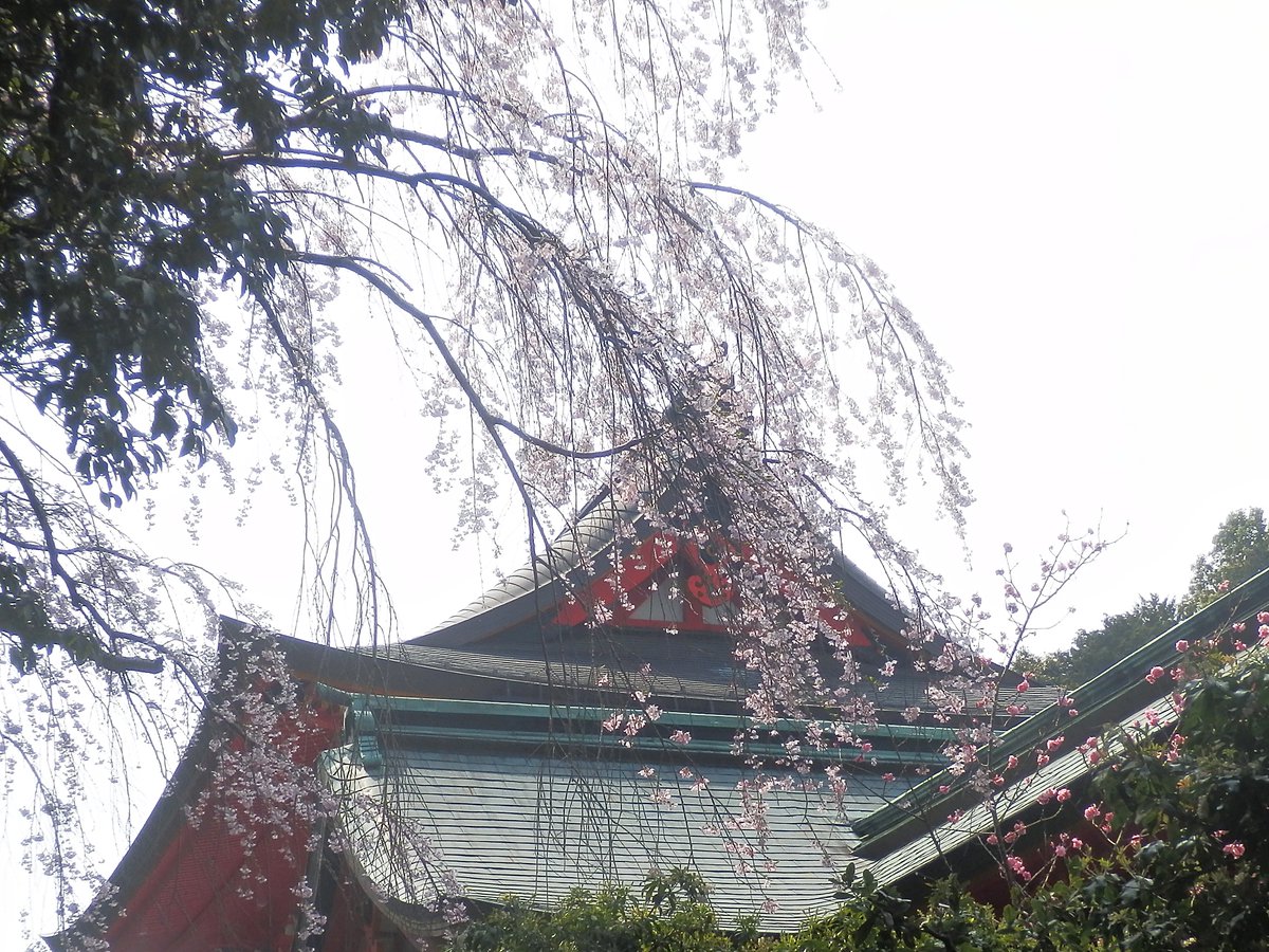 近江神宮 tweet media