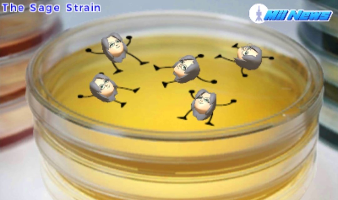 NEO ˶ᵔ ᵕ ᵔ˶ tweet media